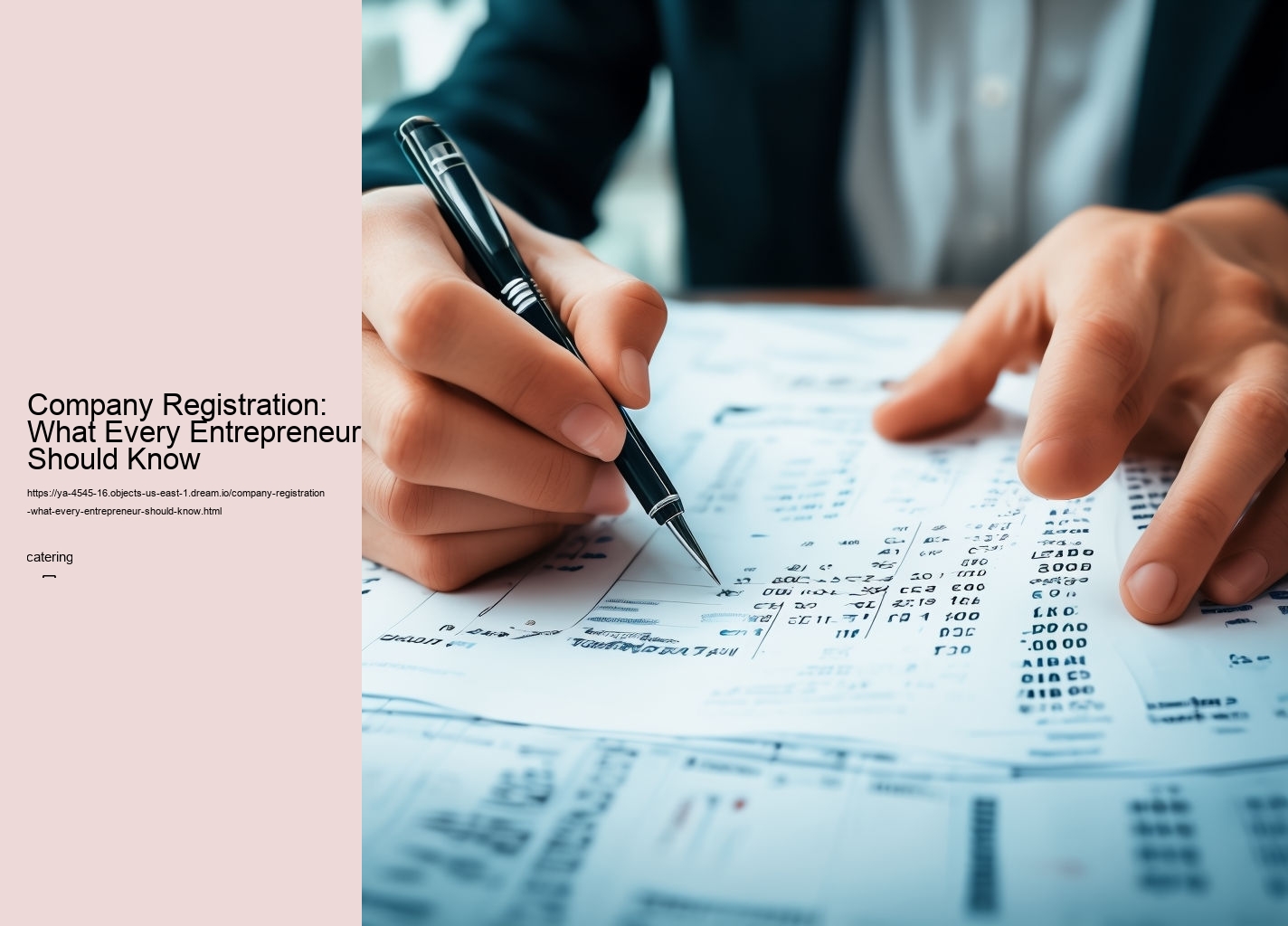 Company Registration: What Every Entrepreneur Should Know