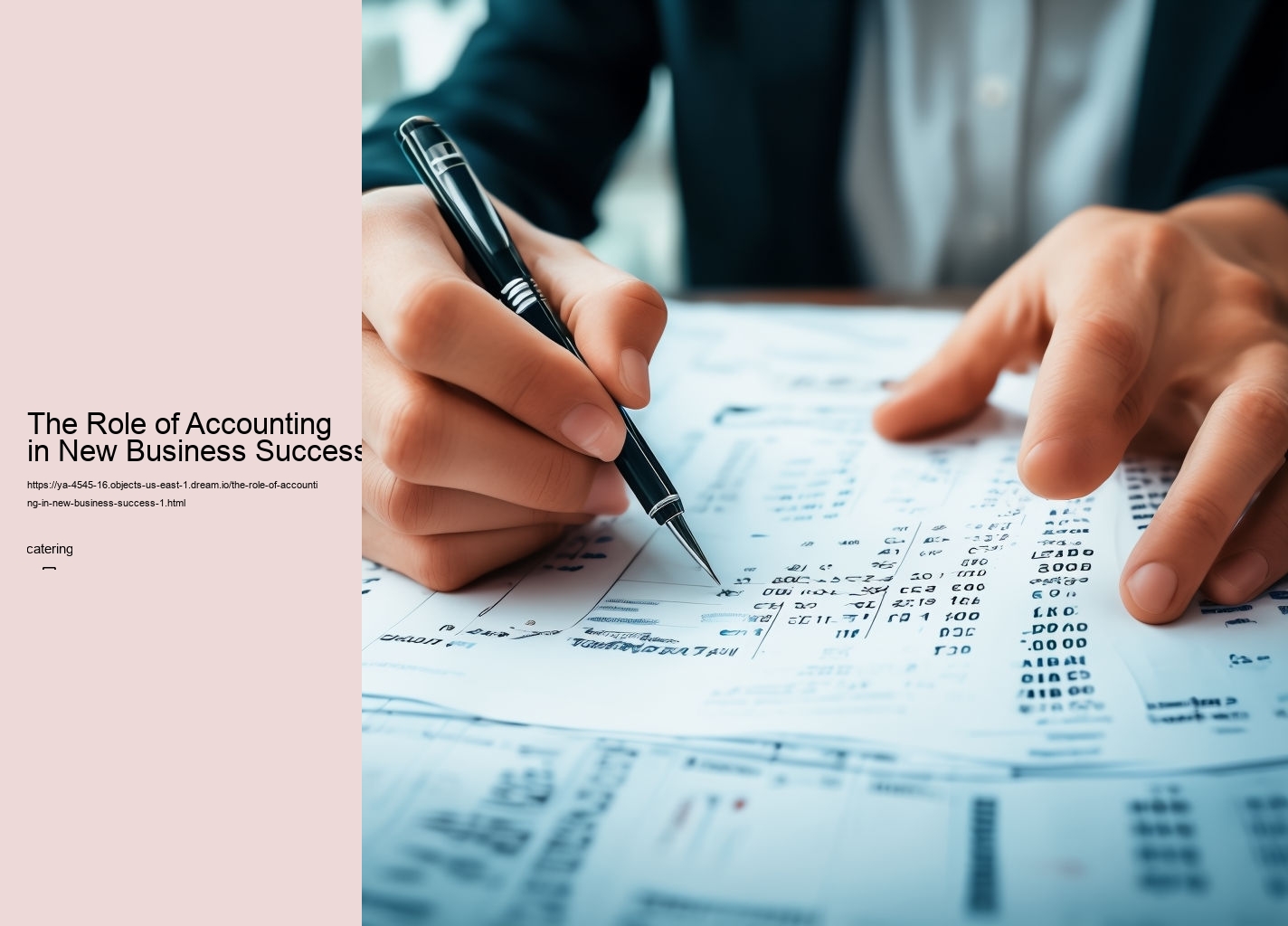 The Role of Accounting in New Business Success