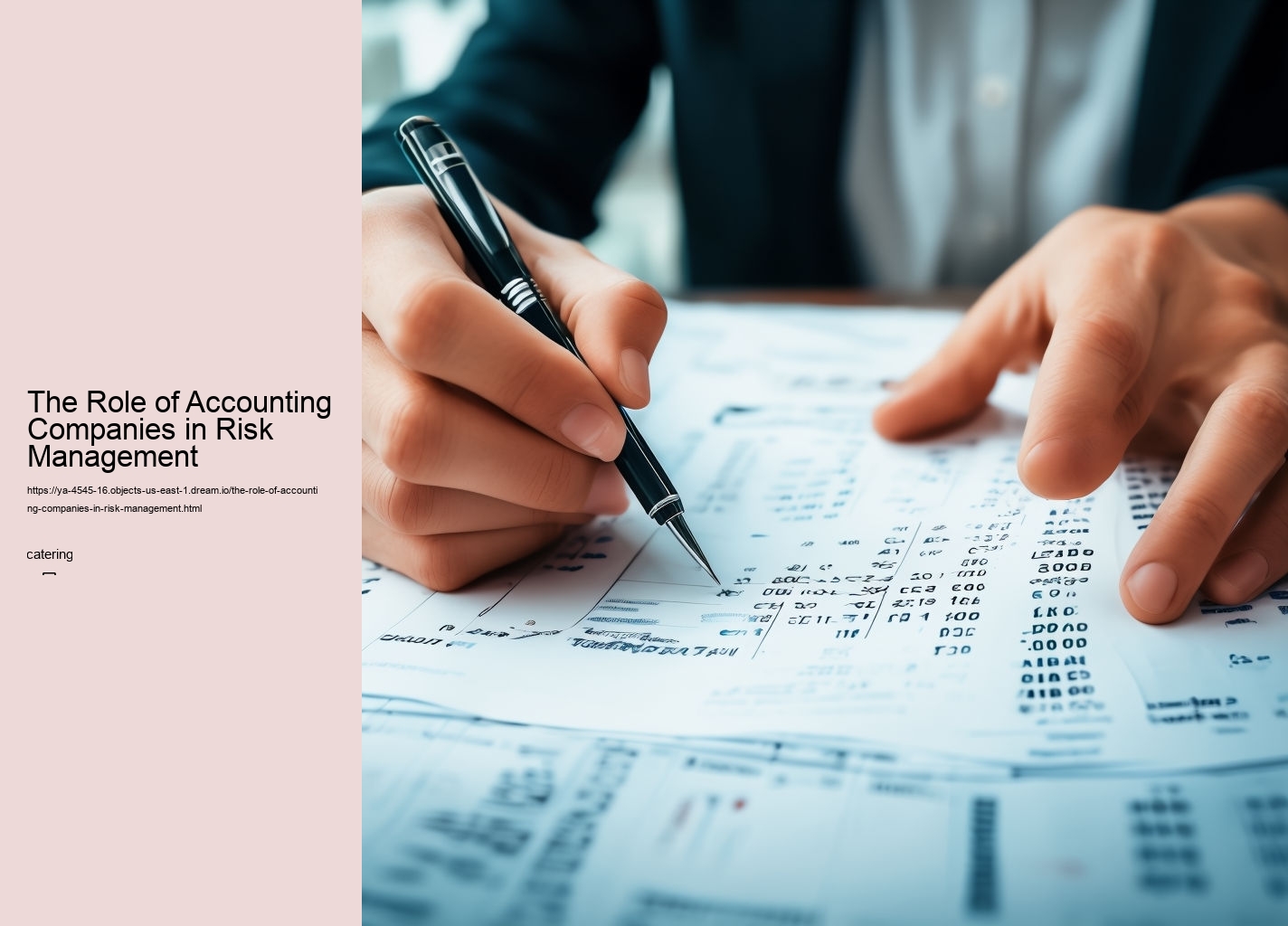 The Role of Accounting Companies in Risk Management